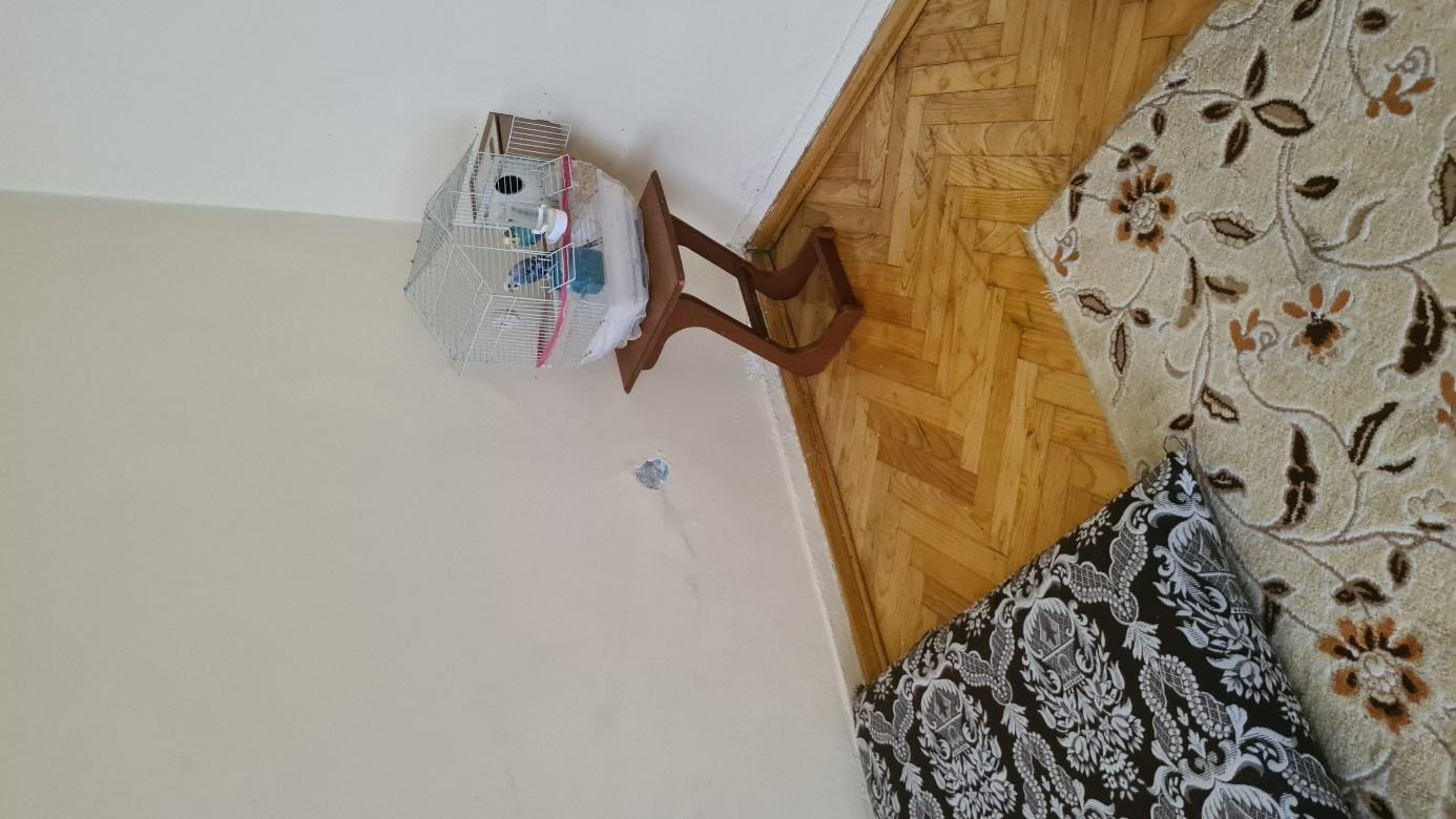 C:\Users\Gizem\Downloads\20221210_133551 (1).jpg